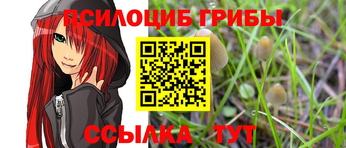 Псилоцибиновые грибы Psilocybine cubensis  Вход с VPN  Кыштым 